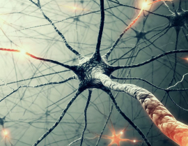 Современные технологии дают возможность зафиксировать работу тканей головного мозга