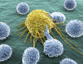 Найдены вирусы, стимулирующие иммунную систему атаковать раковые клетки